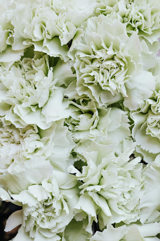 SG florist and Singapore flower delivery