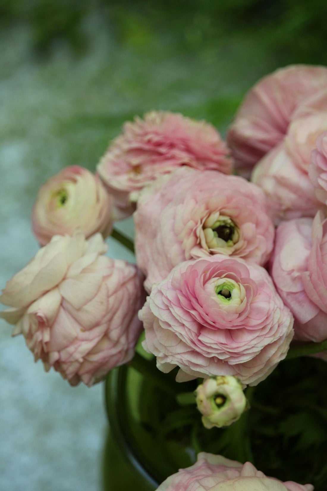 Trusted florists for a special occasion