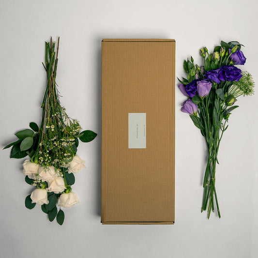 purple mist flower box