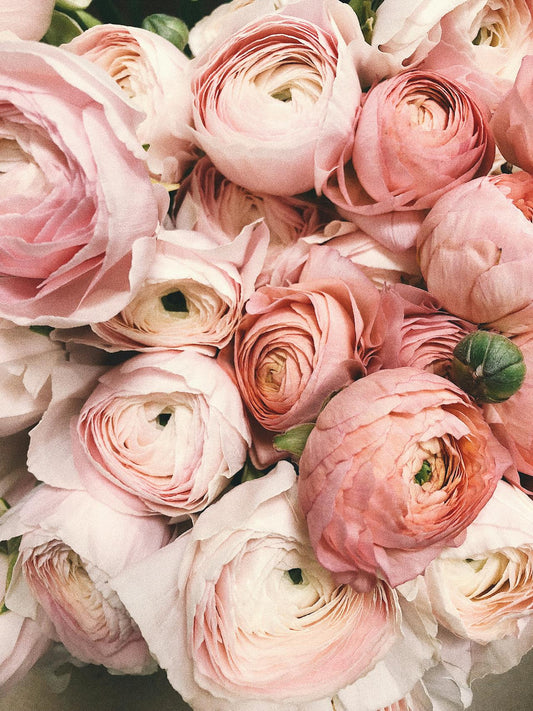 Singapore peony delivery