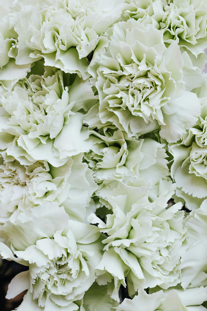 SG florist and Singapore flower delivery