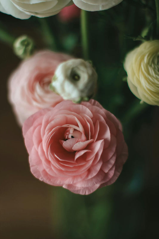 SG same day flower delivery florist shop