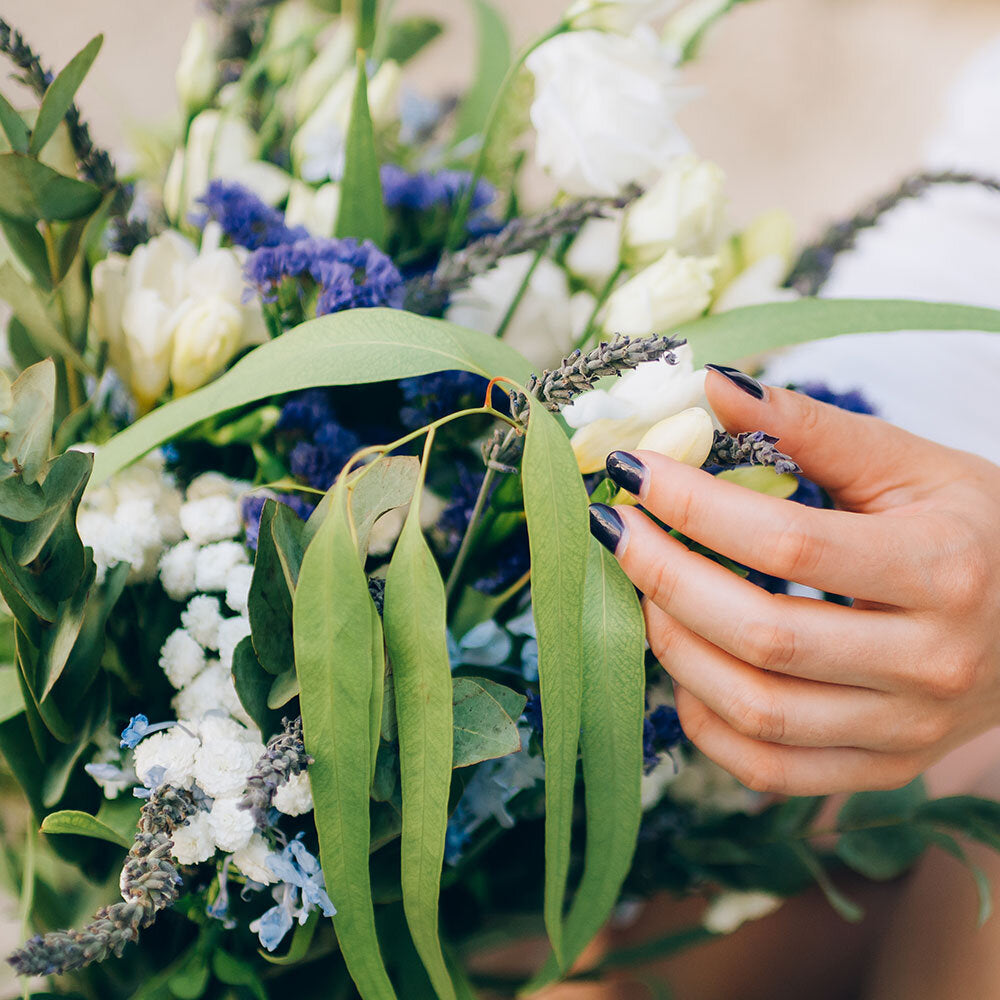 Subscription – Floristics Co SG